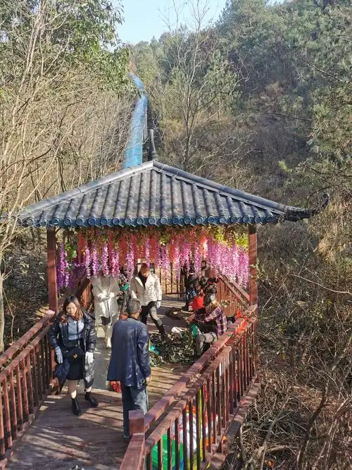 灵谷峰一日游(忆君)