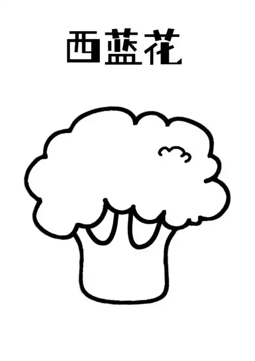 幼儿园美工区西兰花