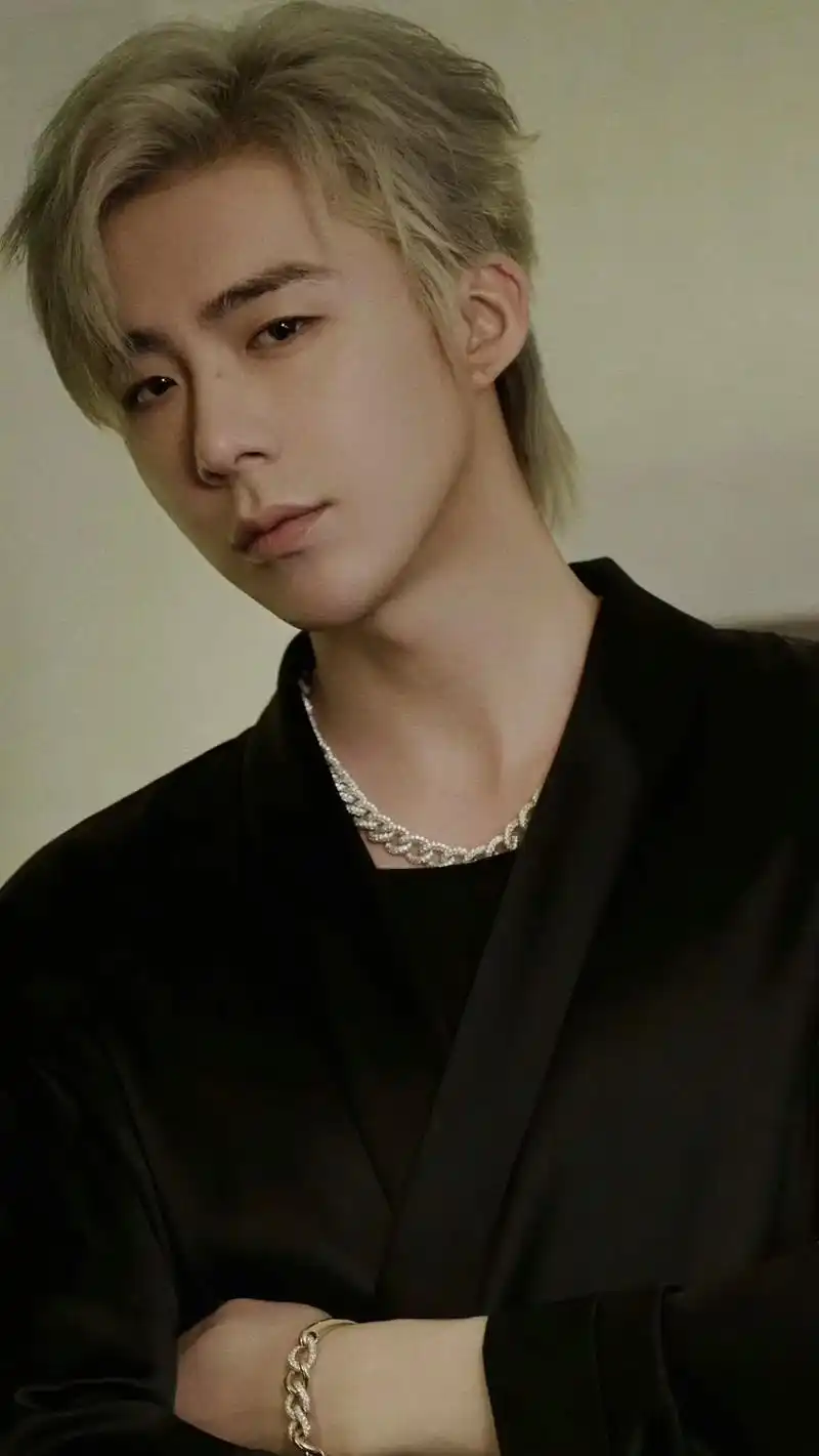 酷酷的壁纸来咯!#刘宇宁 #往后余生唯爱摩登 #完美侧颜杀  - 抖音