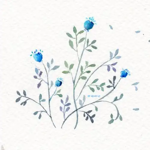 【小熊猫】水彩手绘花卉植物水彩插画教程小清新卡通插画的练成手帐