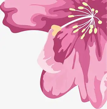杜鹃花瓣矢量aipng卡通简洁百合花蕊aipng黄色花蕊aipng手绘鲜花aipng