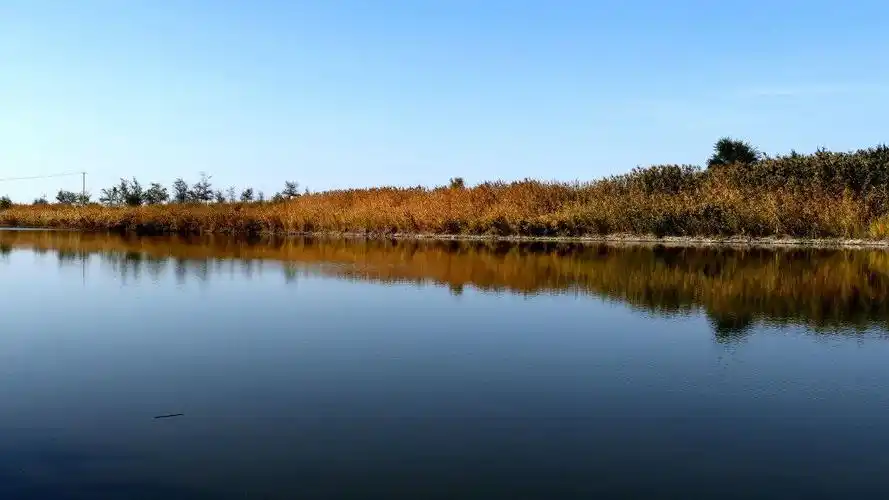 芳草湖大海子水库一曰游