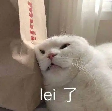 萌宠 猫星人 累了 可怜 呆萌 可爱