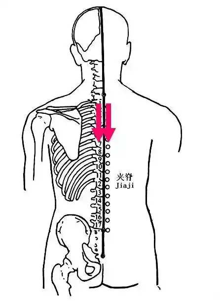 舒适07摩法—颈肩背部均匀布散刮痧油,促进其吸收健康是身体的本钱