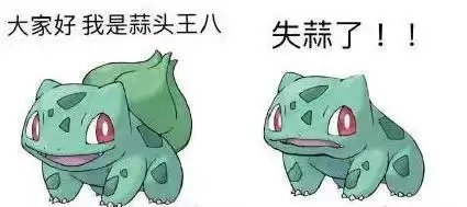 大家好 我是蒜头王八 失蒜了