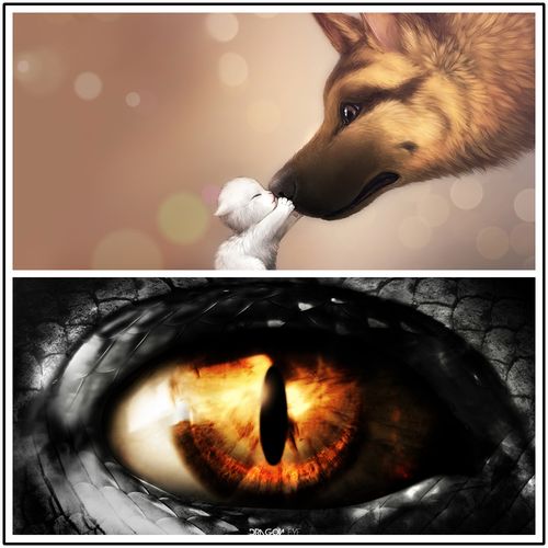 1080p高清电脑壁纸图 1920×1080分辨率壁纸图片2400张 16:9屏幕