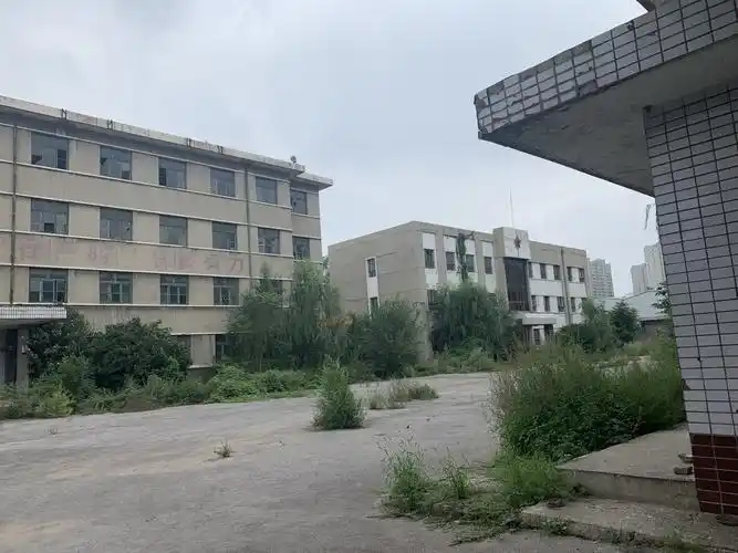 大院内现在是一片散沙,唯有那些绿树花草一值伴随着它还显示着生机!