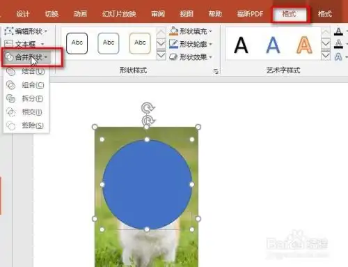 ppt|将图片裁剪成任意形状