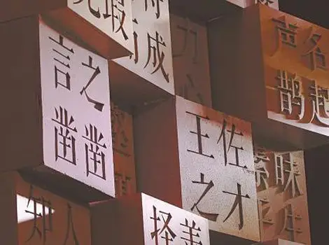 《中国成语大会》遴选社会精英参赛被质疑