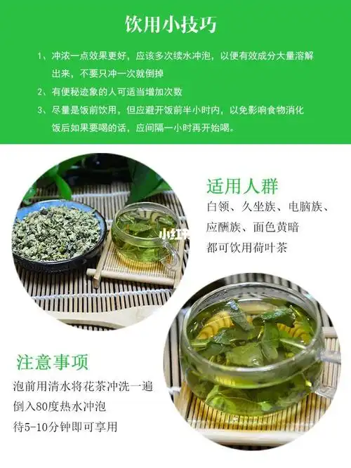 荷叶菊花茶的功效与作用湿热体质喝什么花茶最好
