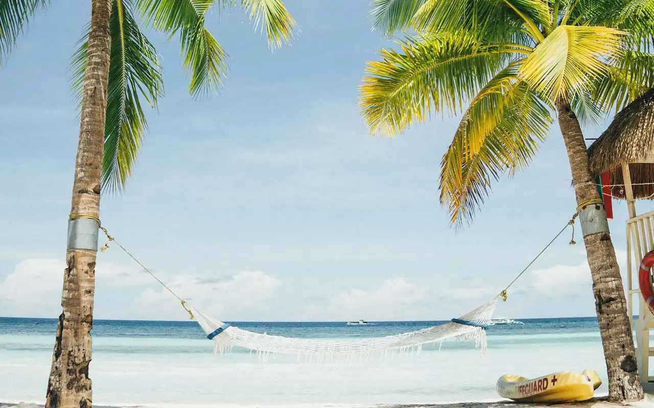 椰子树高清风景图片桌面壁纸