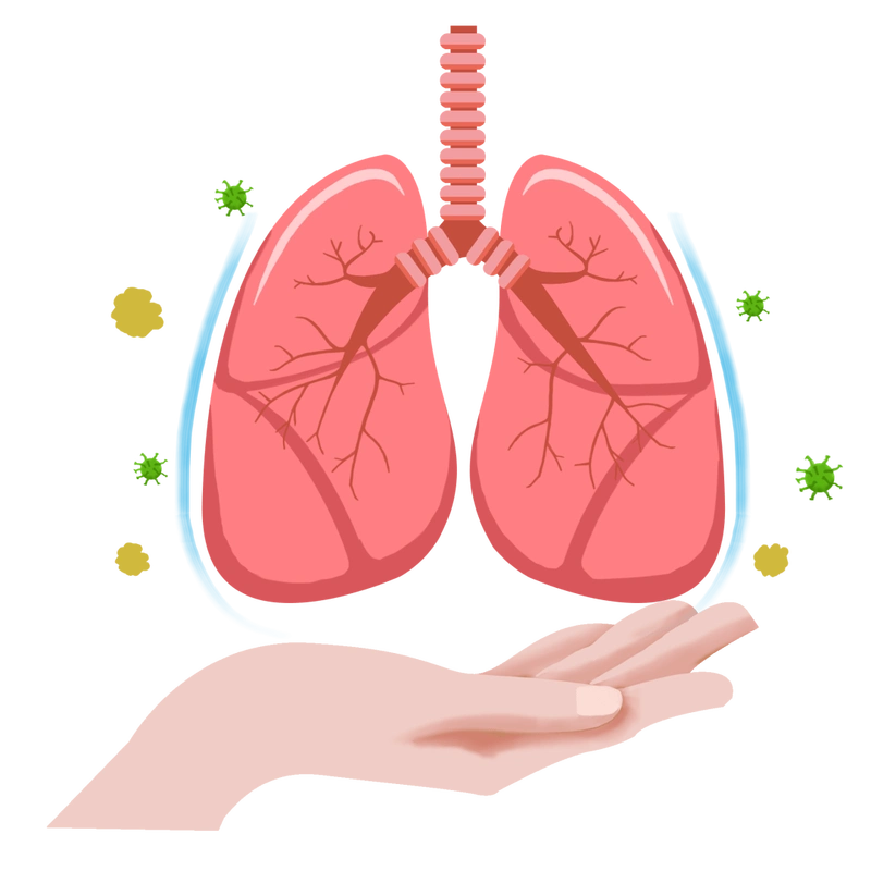 肺结核的主要症状