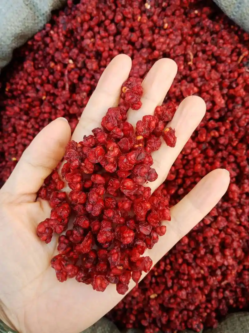 北五味子东北高含量颜色好纯货