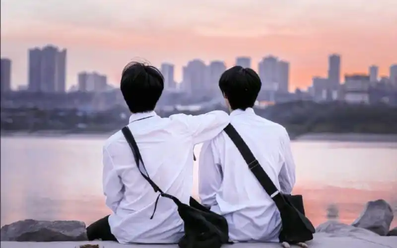 【苏朱】《回答》|那年夏天和你有关的一些回忆