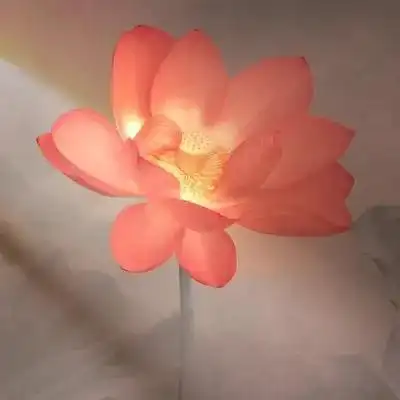 超火的荷花头像72张 中年老年人专用清心荷花精美图片头像