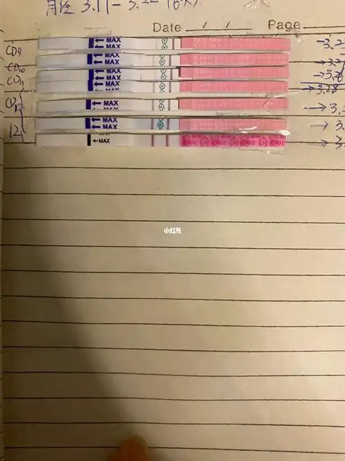 求解第一次用大卫排卵试纸,这算是阳了吗?
