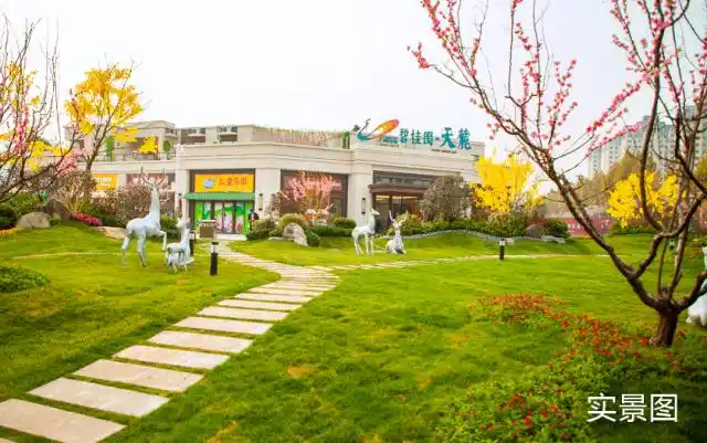 林州碧桂园11月10日景观示范区华美绽放