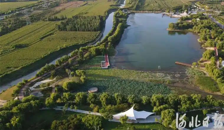 9月13日,俯瞰邢台市任泽区大陆泽国家湿地公园一角.