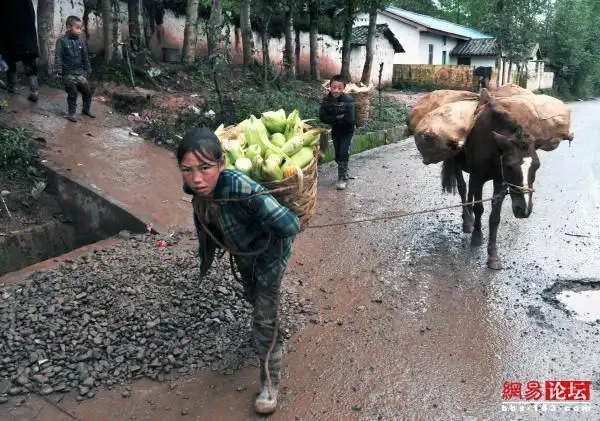 纷纷转发着一条令人难过的新闻,说的是在四川大凉山一个贫困的山村,一