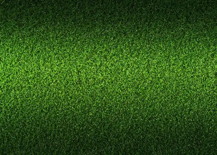 绿色纯草坪背景图