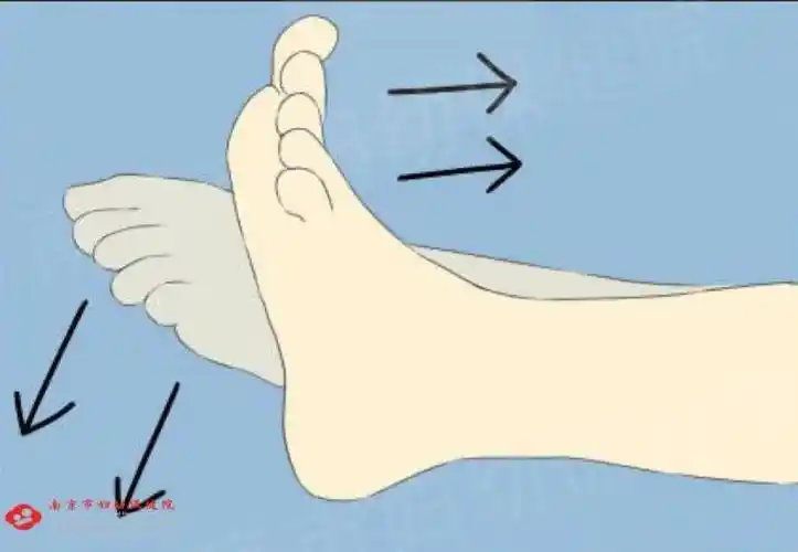 踝泵运动怎么做?