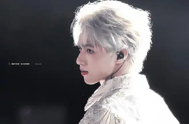 谁还没欣赏到【唱跳rap全能ace】刘耀文大帅哥的银发造型这可是耀月银