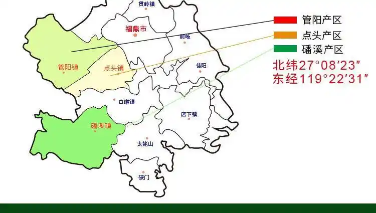 福鼎白茶和政和白茶区别_点头镇