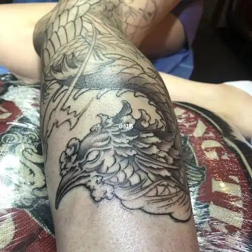 纹身 #新传统纹身  #凤凰纹身