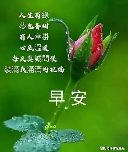 原创2021年6月1日星期二漂亮早上好问候动态表情图片带字最美早安问候