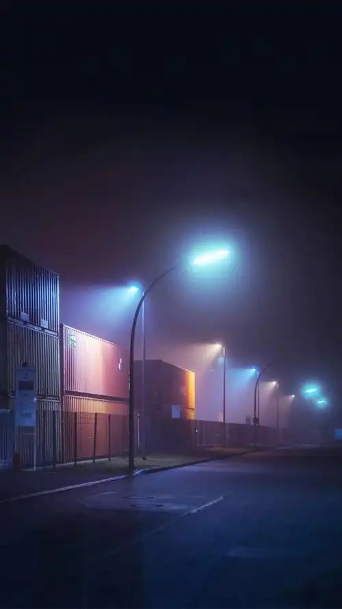 抖音很火的猫壁纸抖音网红星狗壁纸