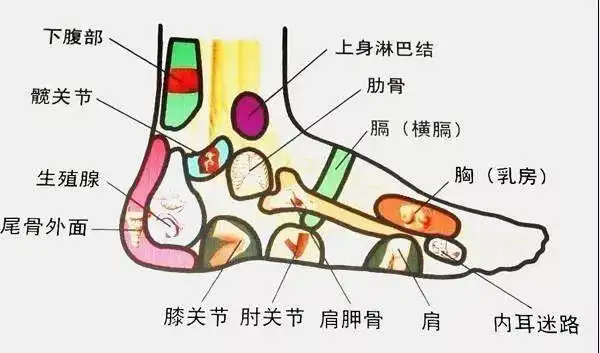 人老脚先衰!足部刮痧,简单易学好处多