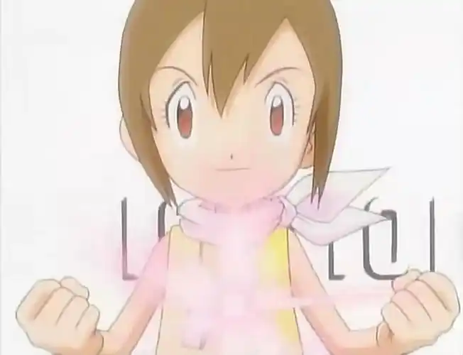 是个善良而又有爱心的小女孩,和哥哥八神光(八神嘉儿)