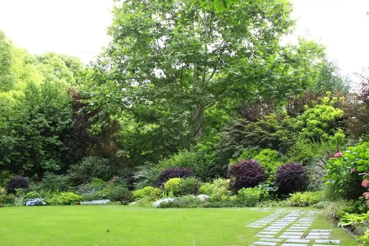 2019人民公园"双迎"绿化景点保障工作汇报