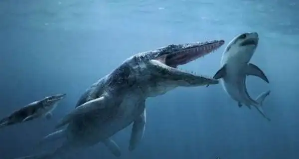 恐龙也曾统治海洋史前水中十大恐龙蛇颈龙居于首位