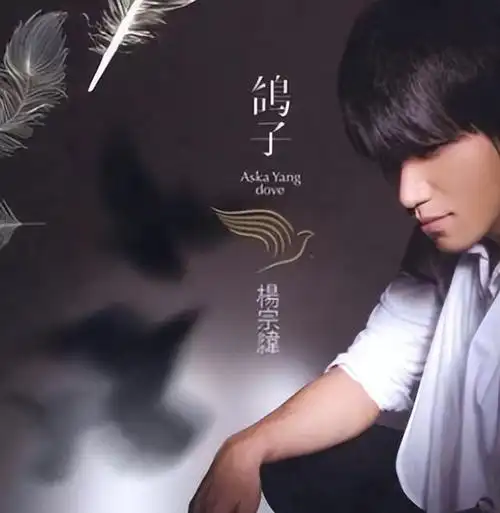 情歌王子杨宗纬一步错步步错再到满盘皆输正常不过