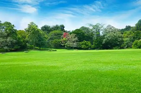 公园, 绿色草地和蓝天照片