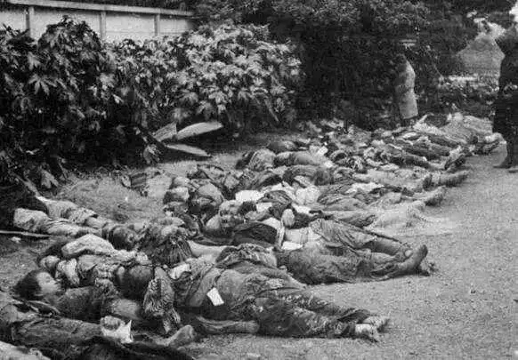 三光作战死难者