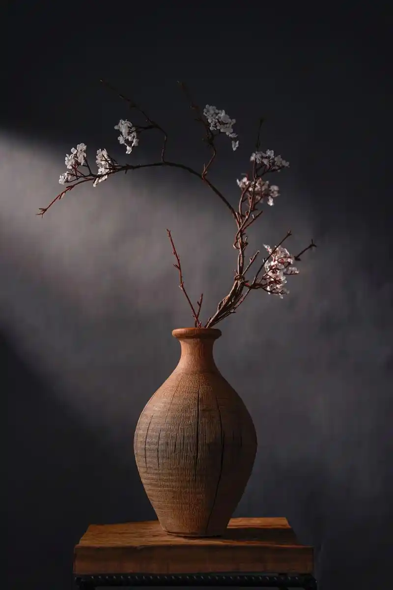 人生就是一场禅意的修行,以净修身,花开自来# - 抖音