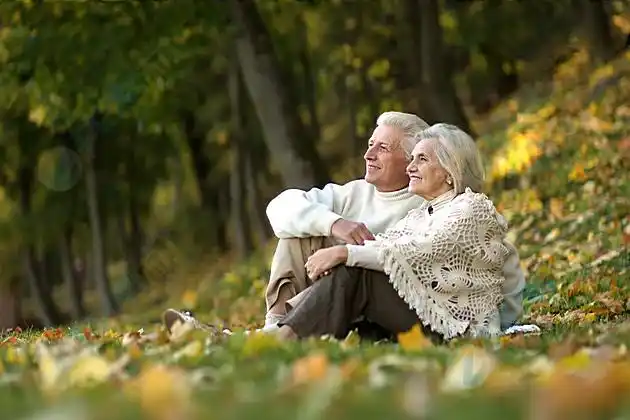 树林草地上恩爱老年夫妻高清图片下载