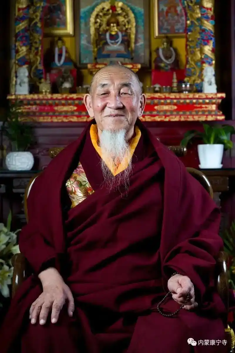 图布丹大师圆寂.北京雍和宫大住持嘉木扬. - 抖音