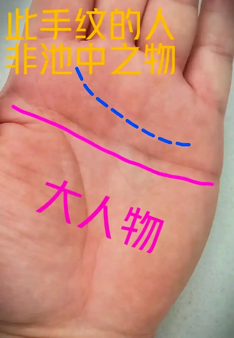 断掌纹.#断掌#掌纹的秘密 #大富大贵 #测一测你是哪种手型 - 抖音