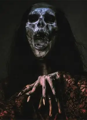 红衣女鬼海报封面图