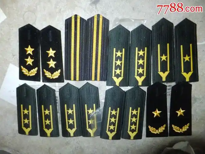 12 品种: 老肩章/领章/领花-老肩章/领章/领花 属性: 肩章,解放军