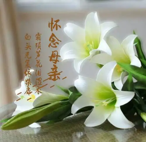 其它 寒衣节诗词【怀念妈妈】 写美篇母亲现在虽然不在了,但母亲的