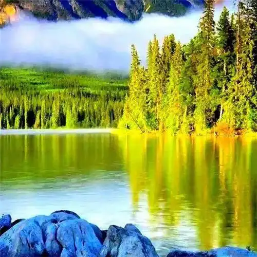 超火最好看的风景头像图片