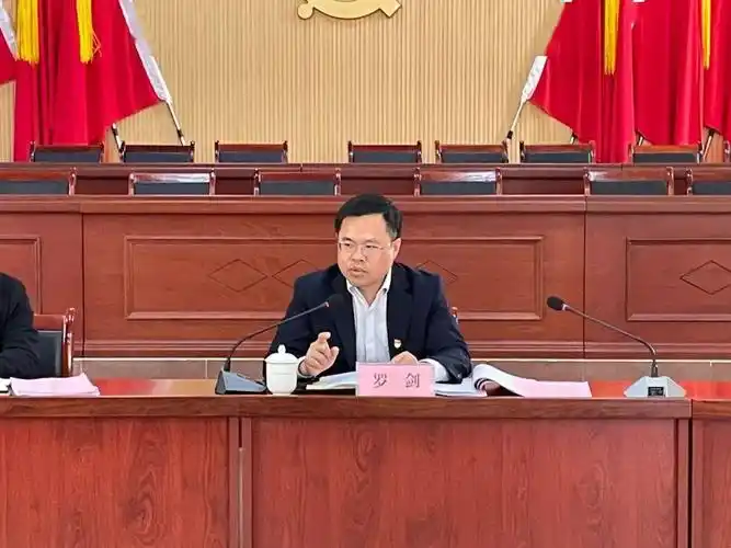 县领导到白砂镇指导召开2020年度党员领导干部民主生活会