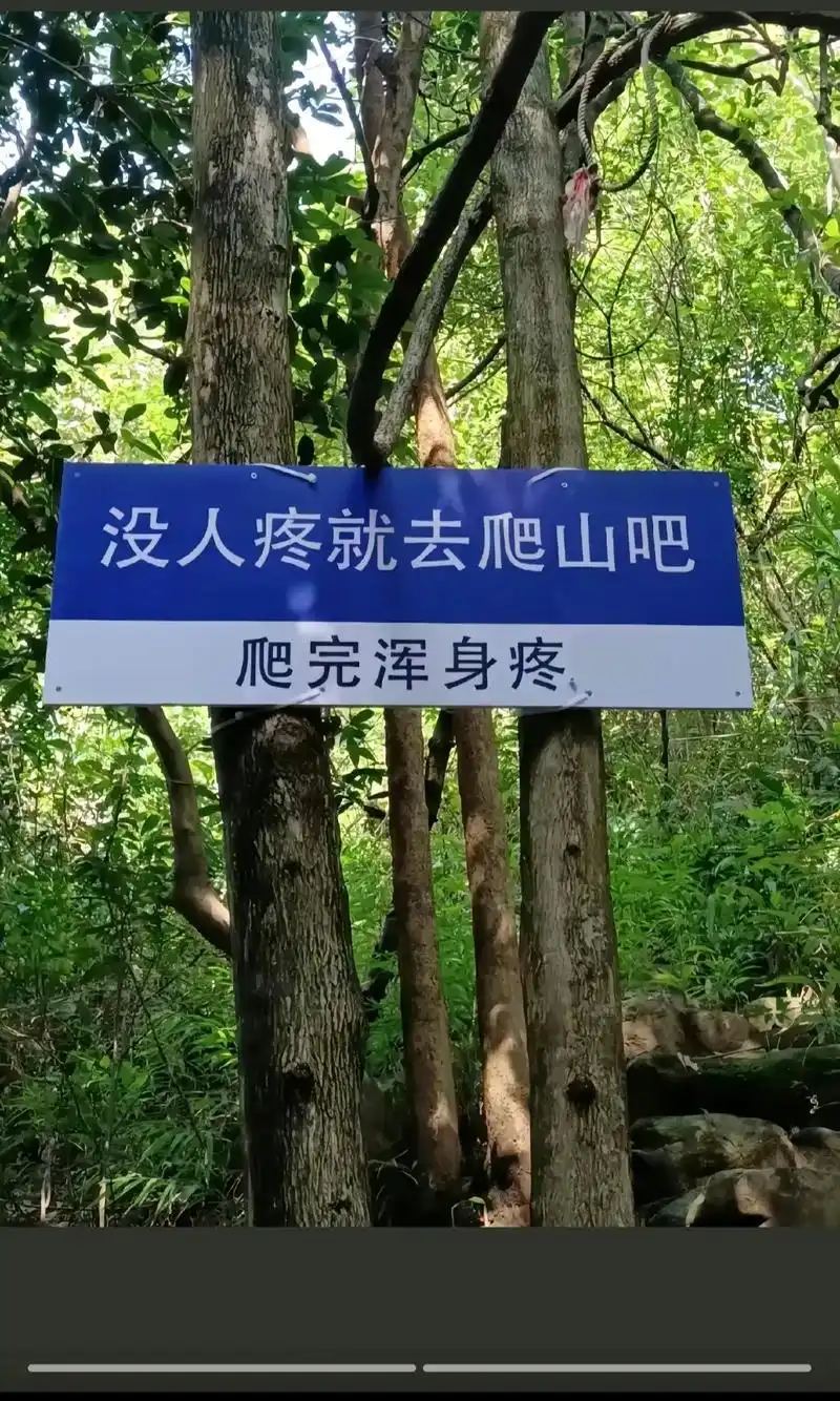 没人疼的时候就去爬山吧!