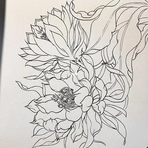 针管笔花卉-昙花