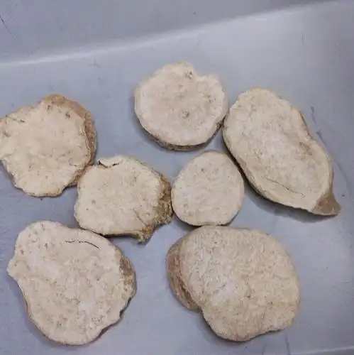 天花粉川花粉园厚片