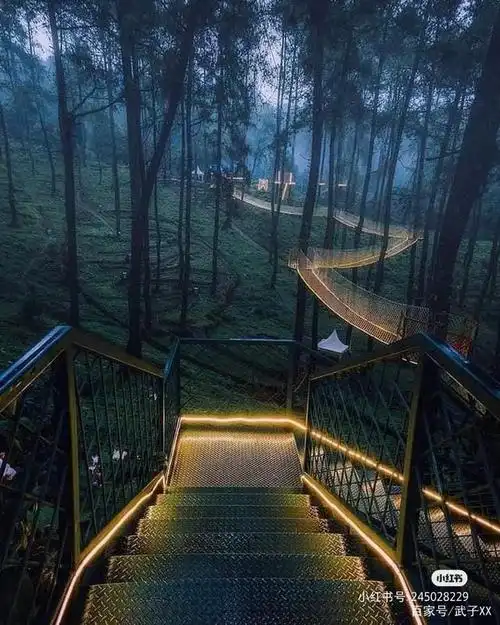 森林里穿梭栈道